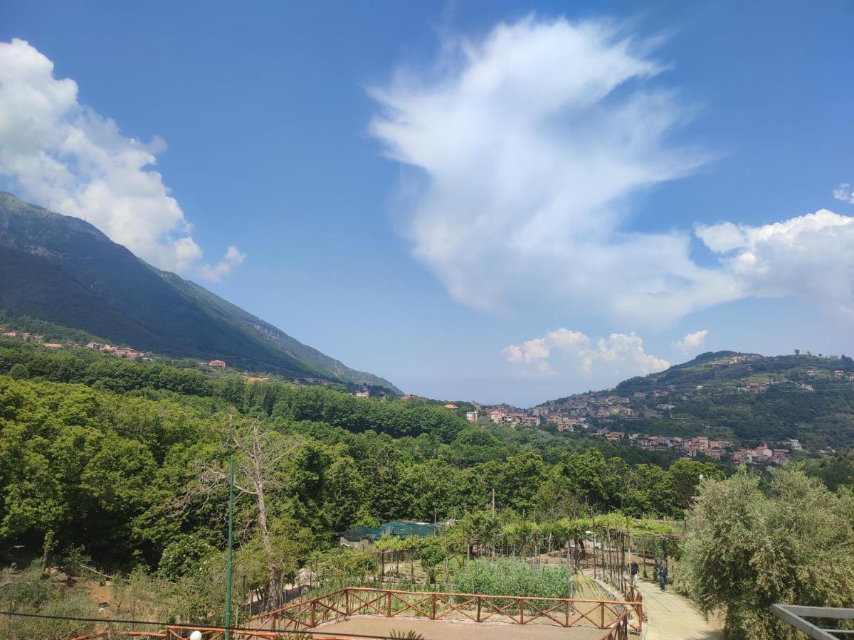 La Masseria Pimonte Εξωτερικό φωτογραφία